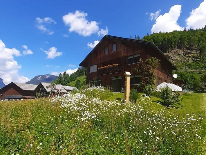 Ferienwohnung für 3 Personen, mit Garten und Ausblick sowie Balkon, kinderfreundlich in Schoppernau - 2