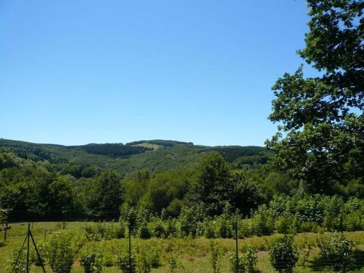 Gîte pour 2 personnes, avec jardin, animaux acceptés dans Fontrieu - 2