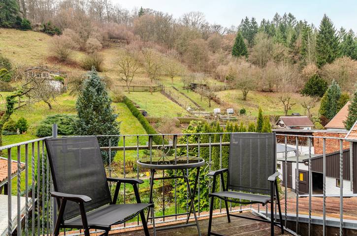 Ferienwohnung für 3 Personen, mit Garten, mit Haustier im Ostharz - 3