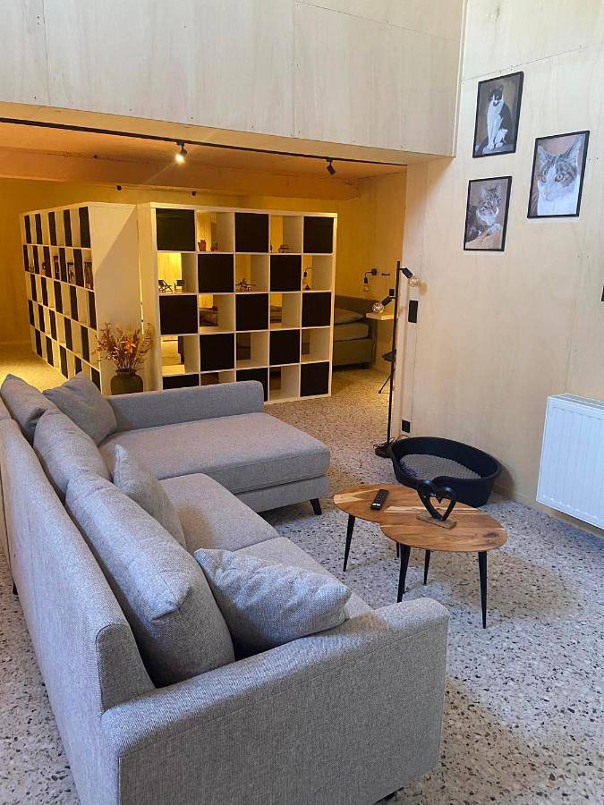 Location de vacances pour 3 personnes, avec terrasse à Zedelgem - 4