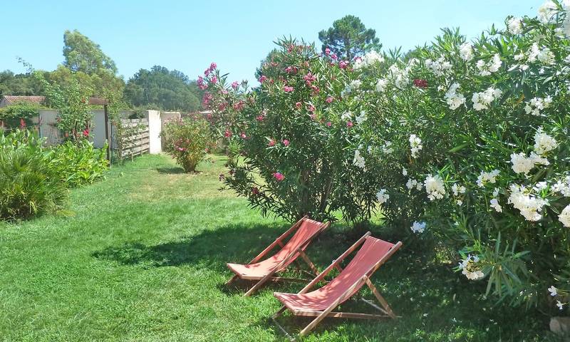 Gîte pour 5 personnes, avec terrasse et jardin à Porto-Vecchio - 3