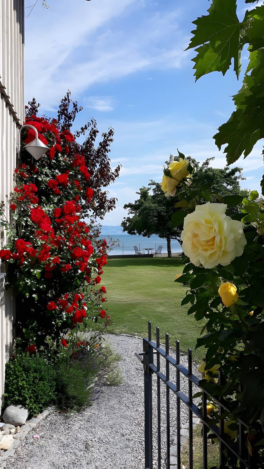 Appartement 'Haus Am See' met uitzicht op het meer, privéterras en wifi, foto 15