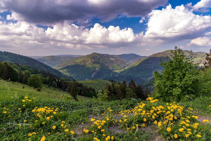 Ferienhaus für 7 Personen, mit Balkon und Garten, kinderfreundlich in Suedlicher Schwarzwald - 3