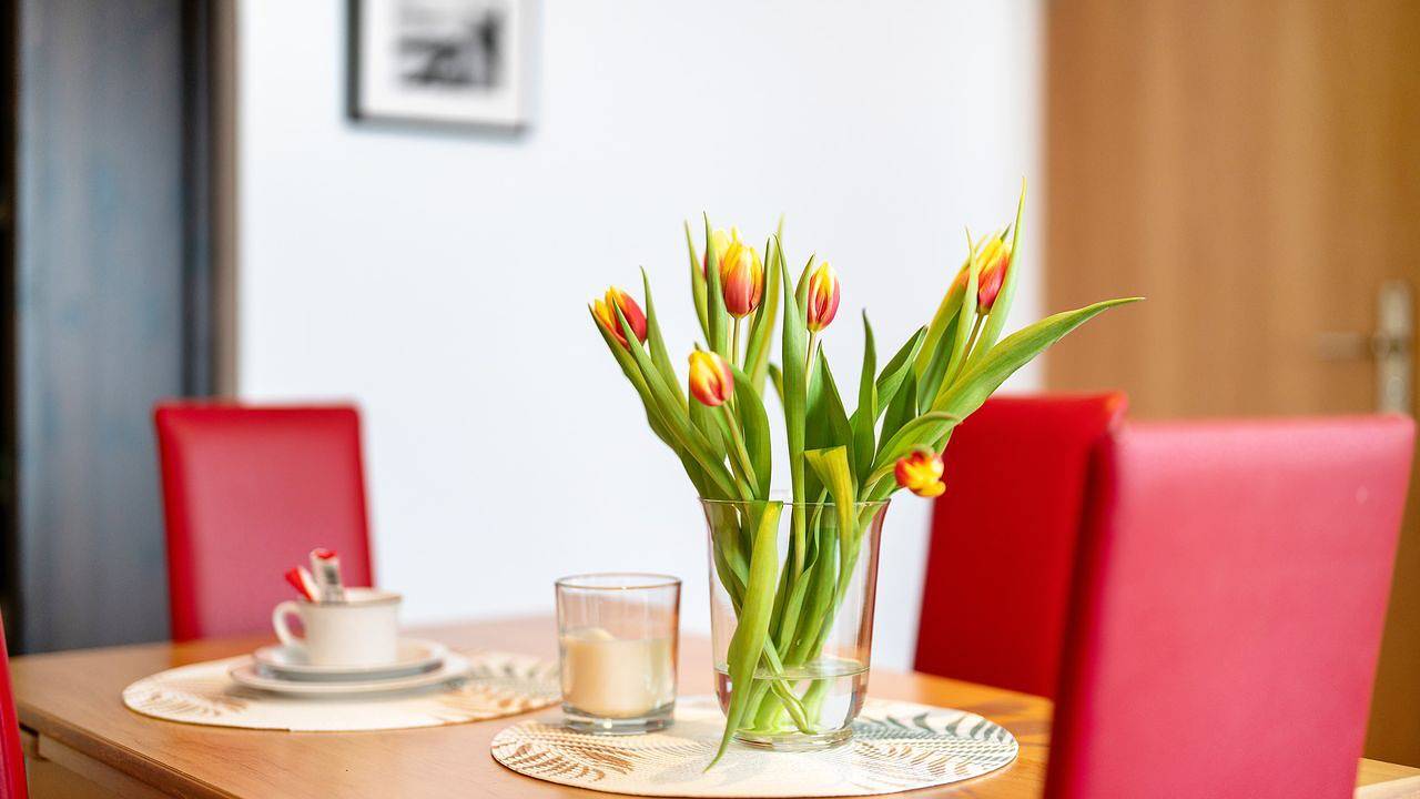 Geheel vakantieappartement, Ferienwohnung für 2 Personen (45 m²) in Schonach im Schwarzwald in Schonach, Schonach im Schwarzwald