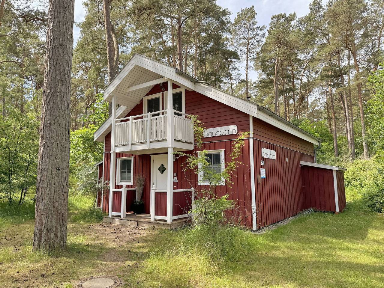 F:  Ferienhaus Sanddorn - Strandpark - ca. 80m Strand - Ferienhaus Sanddorn - Strandpark - ca. 80m Strand in Strand Baabe, Baabe