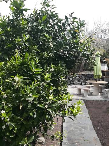 Agriturismo per 5 Persone in Mocanal (El Hierro), Valverde, Foto 4