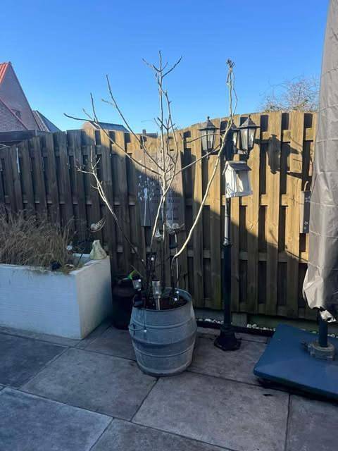 Location de vacances pour 5 personnes, avec jardin et jacuzzi, adapté aux familles à Beernem - 2