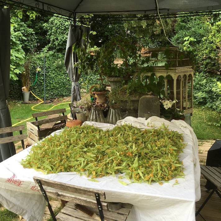 Location de vacances pour 2 personnes, avec piscine et jardin dans le Vaucluse - 4