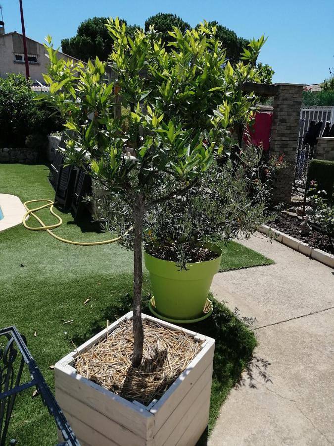 Location de vacances pour 2 personnes, avec jardin ainsi que vue et piscine à Vinassan - 4