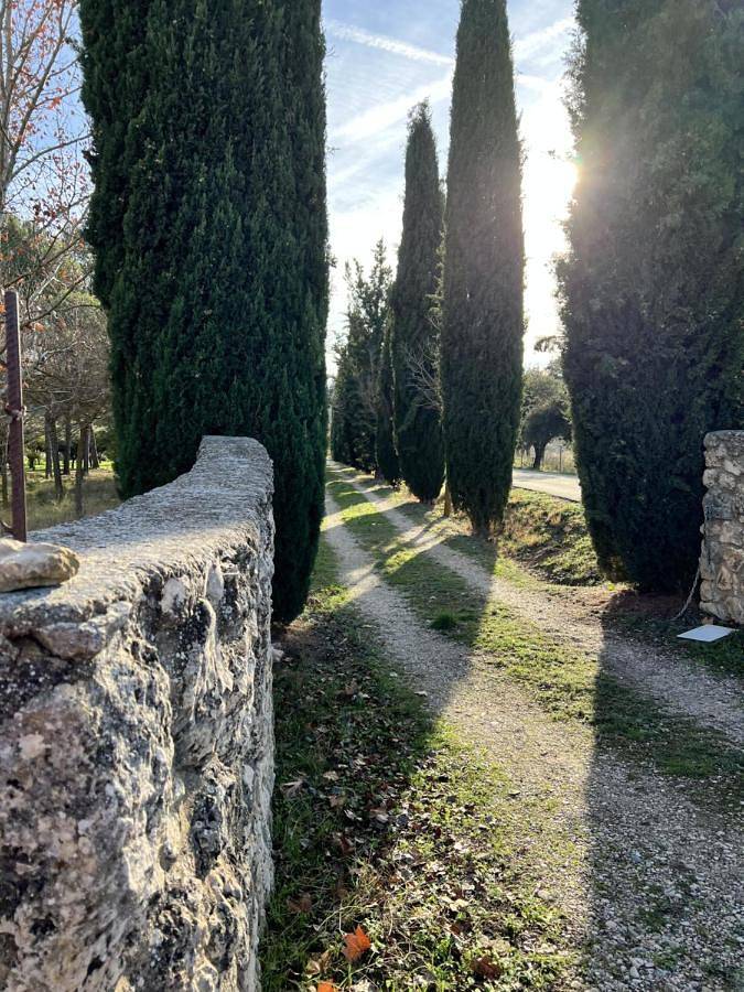 Casa de vacaciones para 15 personas, con jardín y piscina en Provincia de Guadalajara - 2