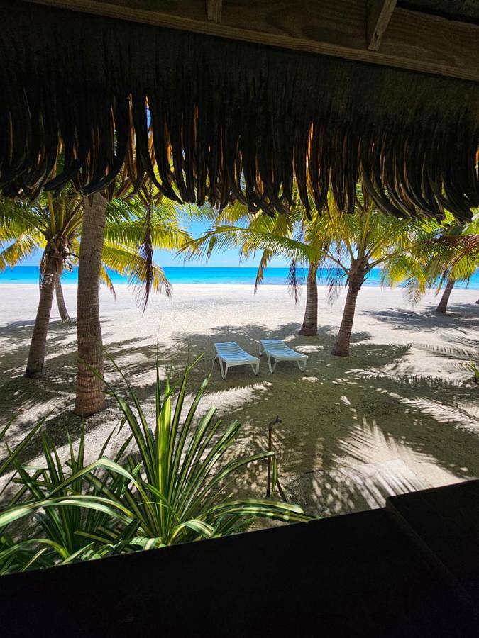 Gîte pour 5 personnes, avec vue ainsi que balcon et jardin dans Rangiroa - 2