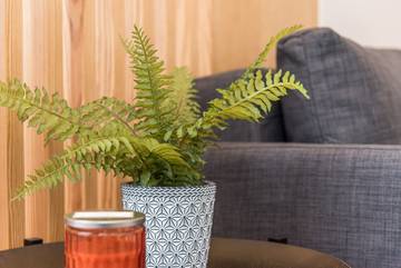 Appartement De Vacances pour 4 Personnes dans Ville historique de Porto, Porto, Photo 3