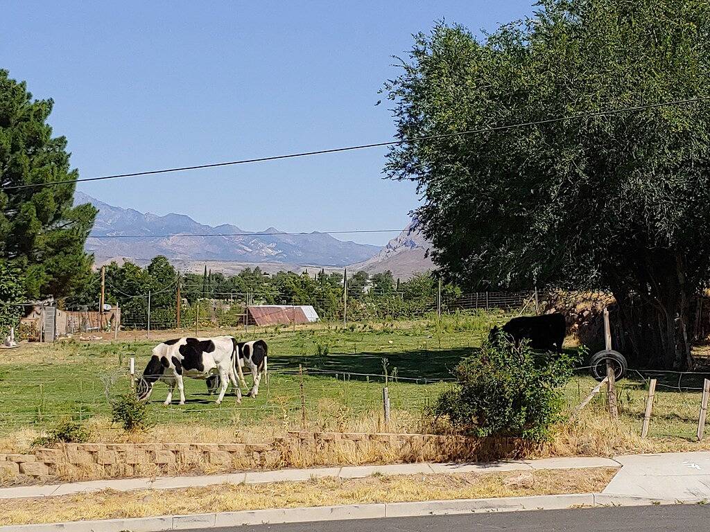 Ganze Wohnung, Thompsons oberste Etage in Hurricane, Zion Nationalpark