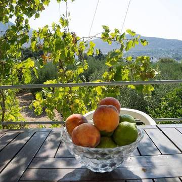 Gîte pour 2 personnes, avec vue et jardin dans Panormos
