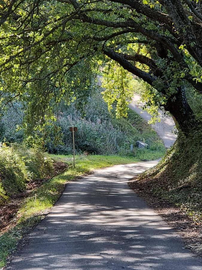 Location de vacances pour 6 personnes, avec jardin et vue à Mirabel-aux-Baronnies - 3