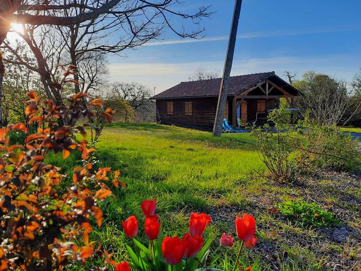 Gîte pour 6 personnes, avec piscine ainsi que jardin et terrasse, animaux acceptés dans Occitanie - 2