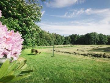 Ferienwohnung für 3 Personen in Schneverdingen, Landkreis Heidekreis, Bild 4