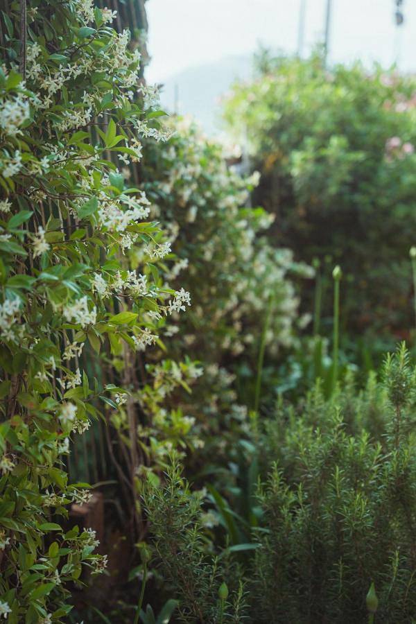 Villa pour 16 personnes, avec vue et terrasse, animaux acceptés à Collioure