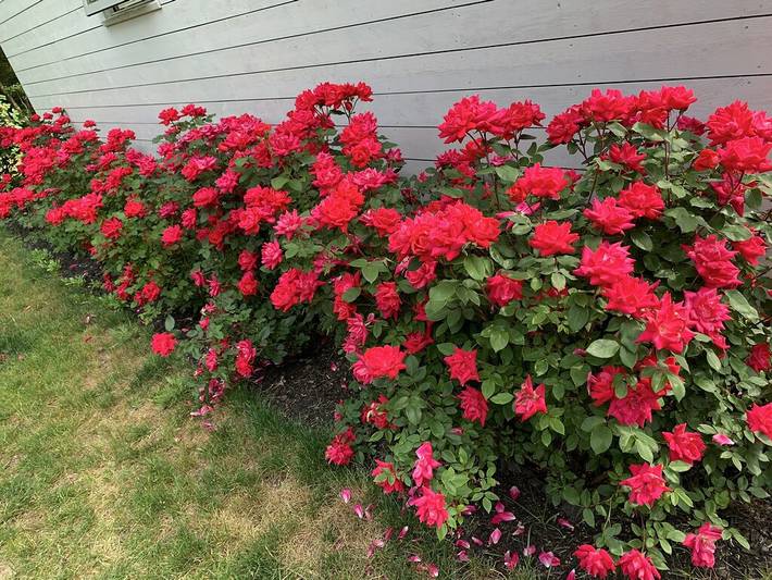 Vacation rental for 4 people, with yard and hot tub in York County