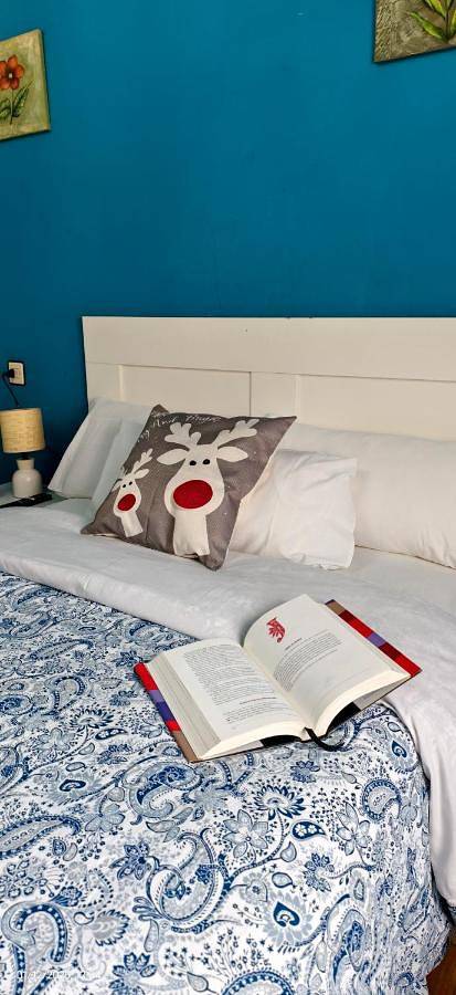 Gîte pour 6 personnes, avec terrasse, animaux acceptés à Langreo - 2