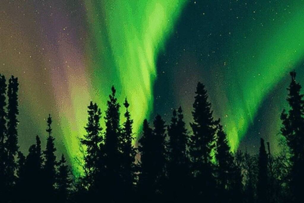 Eine echte alaskische Erfahrung in Matanuska-Susitna