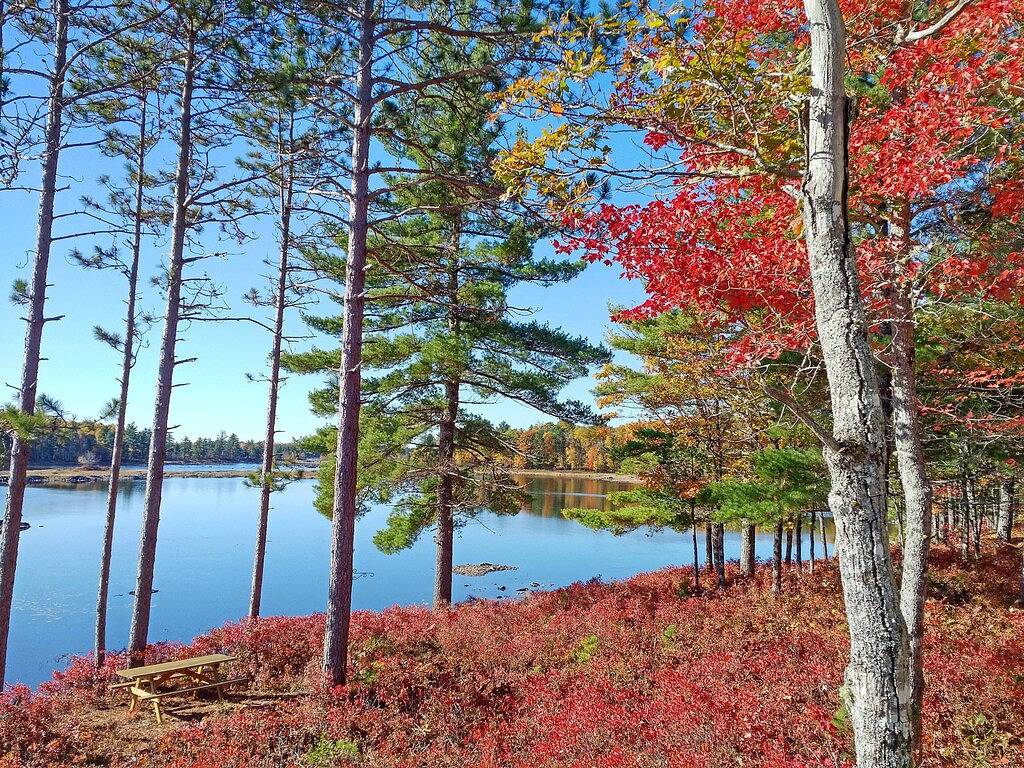 Riesiges Grundstück! Alleinlage! Sonnendeck am See + Steg, 5 private Inseln! in Region of Queens Municipality, Queens County