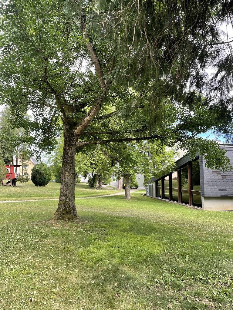 Ganze Ferienwohnung, Ferienapartment Königsegg - Fam. Möller Böhler - 1,5- Zimmer Ferienapartment, 2. Og, 50m² in Reichenau, Untersee