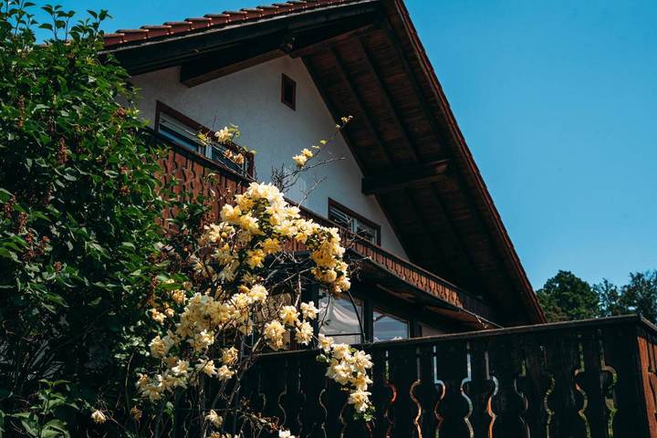 Ferienwohnung für 5 Personen, mit Balkon und Ausblick in Silz (Pfalz)