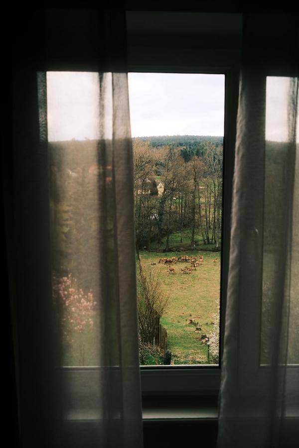 Hôtel pour 2 personnes, avec sauna et jardin à Birkenwald - 2