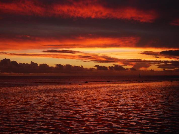 Villa pour 5 personnes, avec jardin et vue, animaux acceptés dans Polynésie française - 4