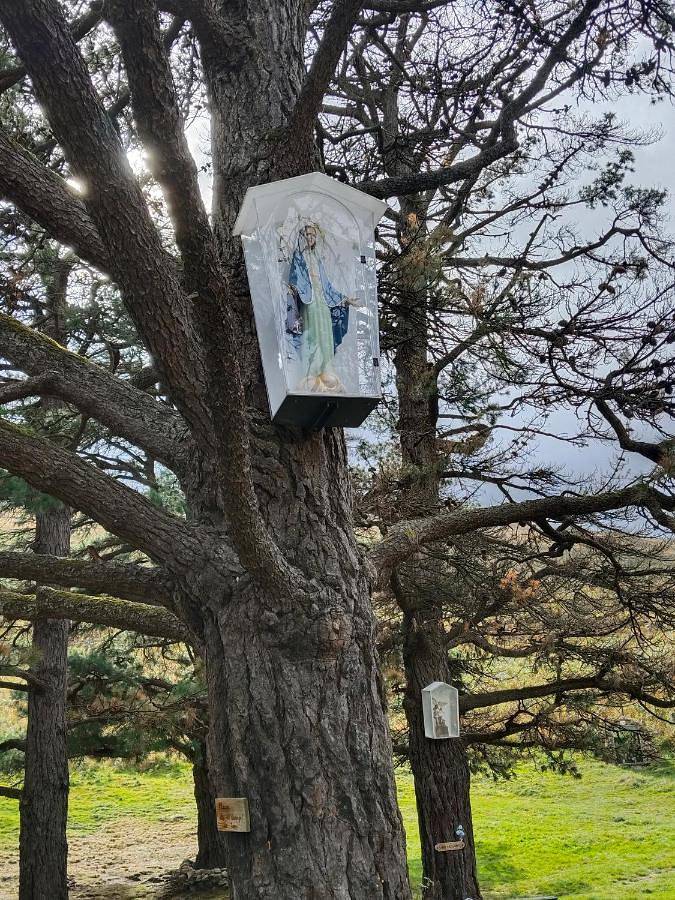 Maison d’hôte pour 10 personnes, avec vue et jardin dans Cantabrie - 3