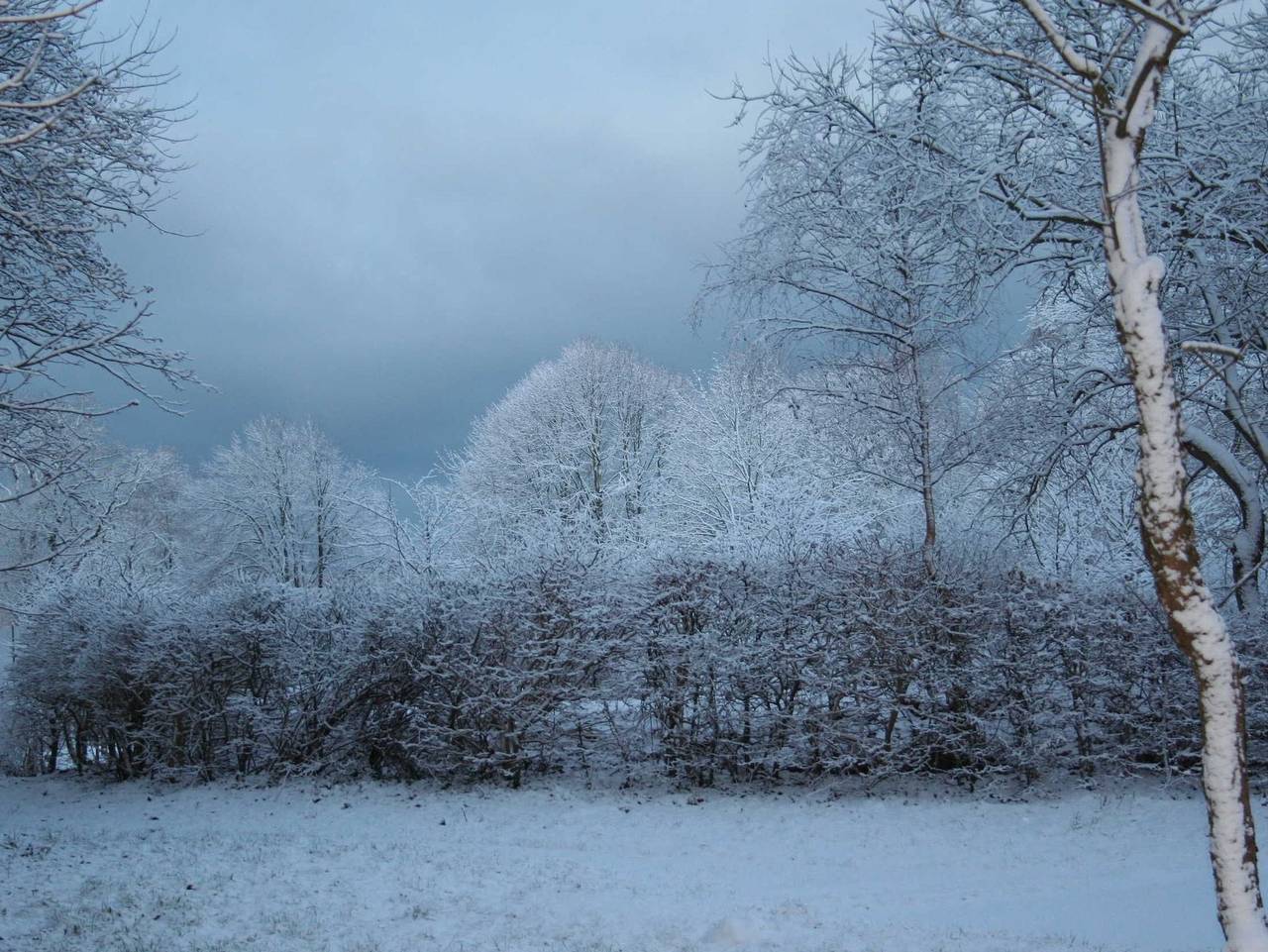 Ganze Ferienwohnung, Haus 1795 Schwalbennest - Haus 1795 Schwalbennest in Wustrow, Fischland