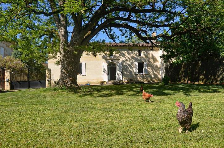 Gîte pour 4 personnes, avec vue et jardin à Sainte-Terre - 2