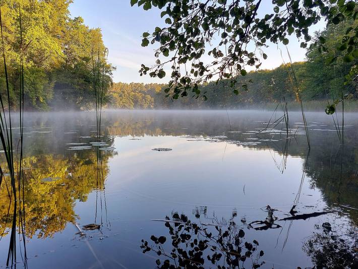 Ferienwohnung für 5 Personen, mit Balkon und Garten, kinderfreundlich in Wesenberg - 3