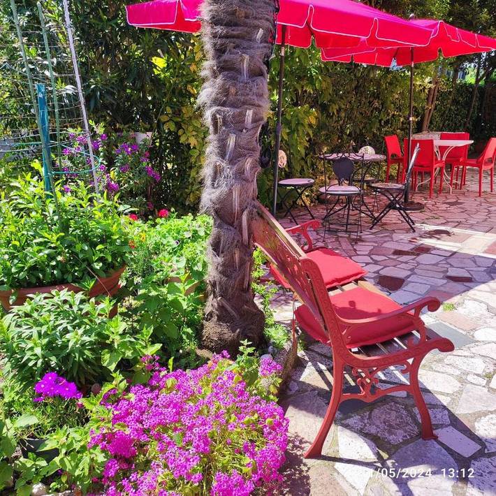 Chambre d’hôte pour 2 personnes, avec jardin et vue à Sirmione - 4