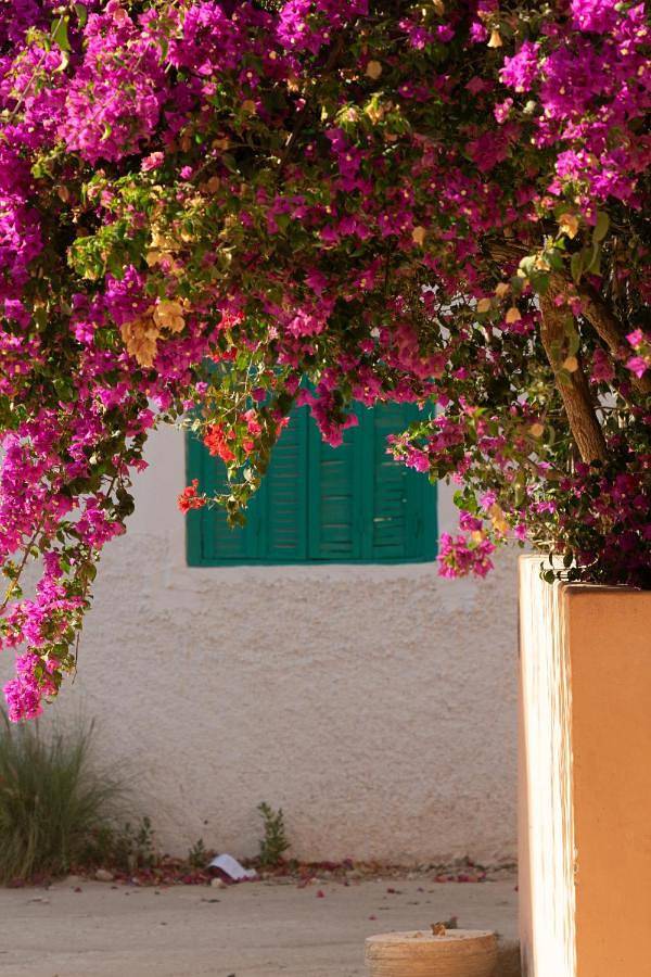 Gîte pour 2 personnes, avec terrasse dans Tamraght Ouzdar - 2