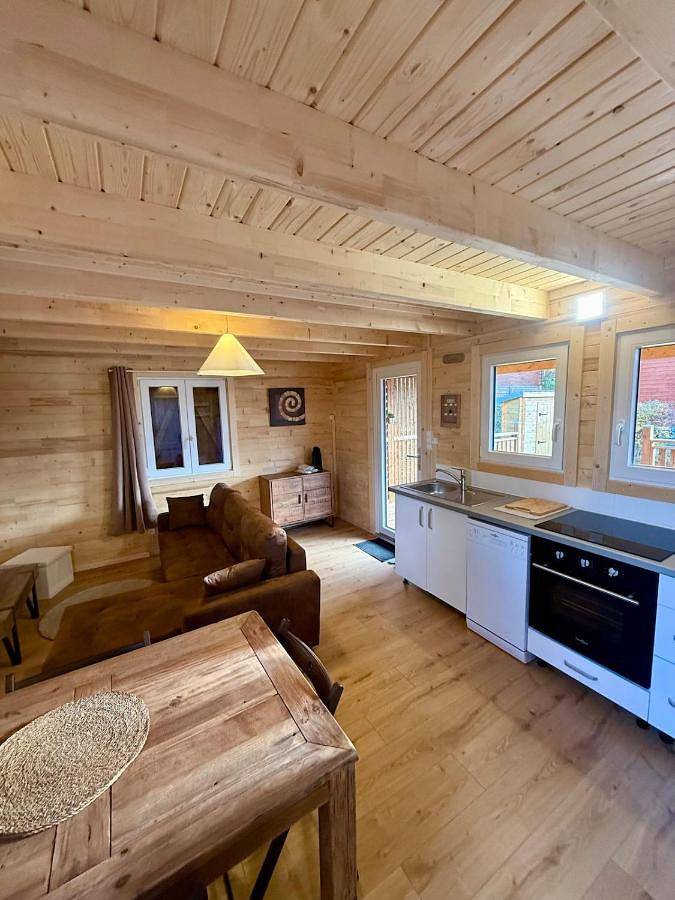 Gîte pour 6 personnes, avec terrasse ainsi que piscine et vue, animaux acceptés à Saint-Léger-les-Mélèzes - 4