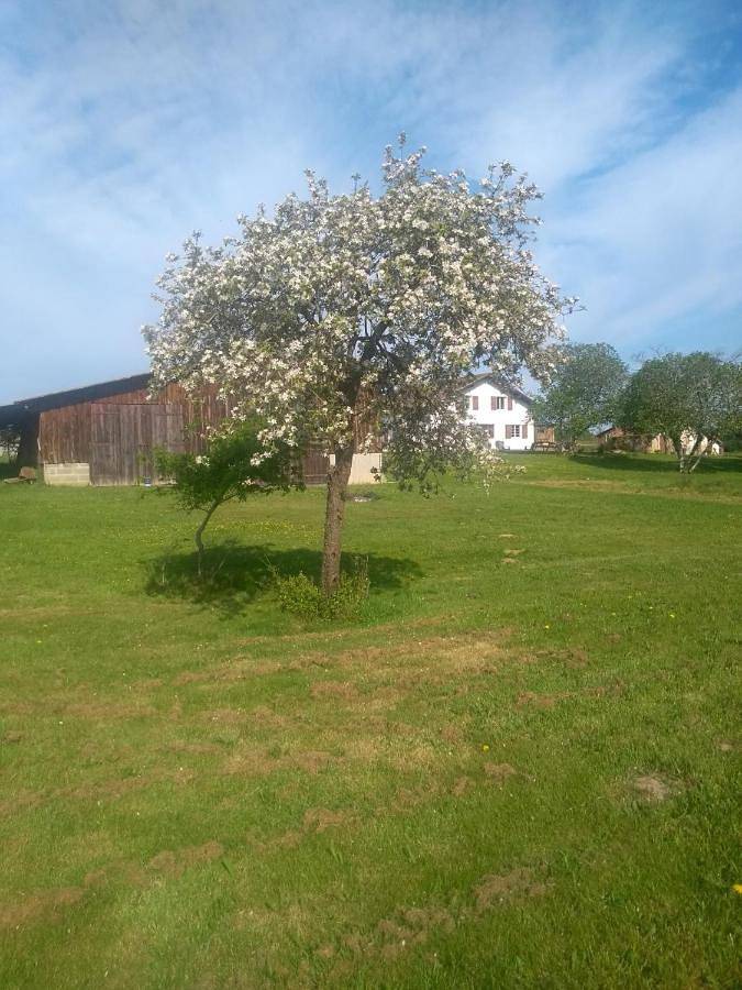 La maison de pescate in Souprosse, Région de Dax
