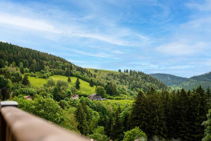 Ferienhaus für 4 Personen, mit Garten, kinderfreundlich in Lothringen - 4