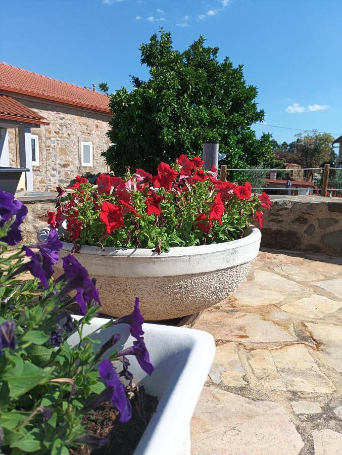 Casa de férias para 4 pessoas, com vista e jardim em Pedrógão Grande