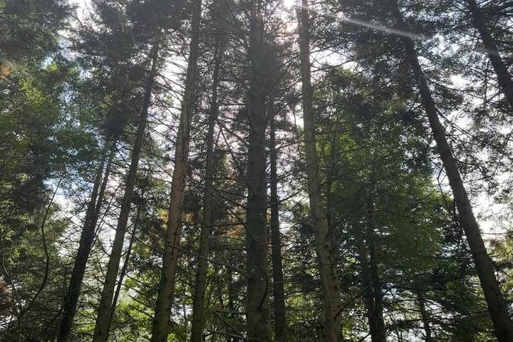 Gîte pour 2 personnes, avec terrasse et vue à Brix - 3
