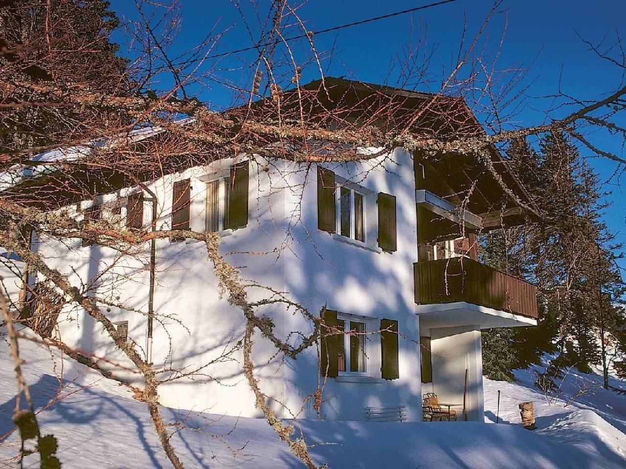 Ganze Wohnung, Parterre Wohnung in Vitznau, Vierwaldstättersee