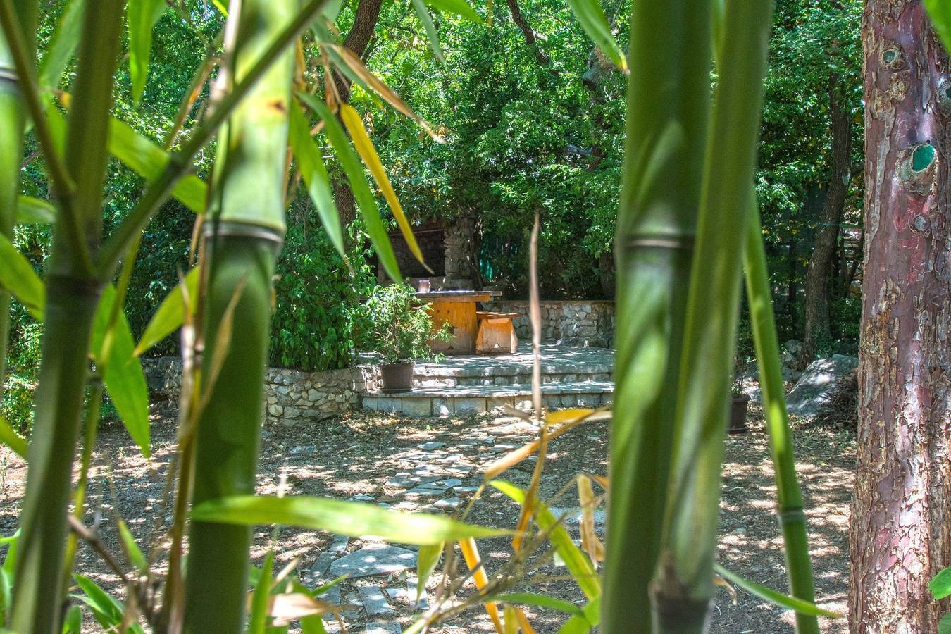 Ganzes Studio, Apartments Oaza in Plaža Pazdehova-Lanterna, Dramalj