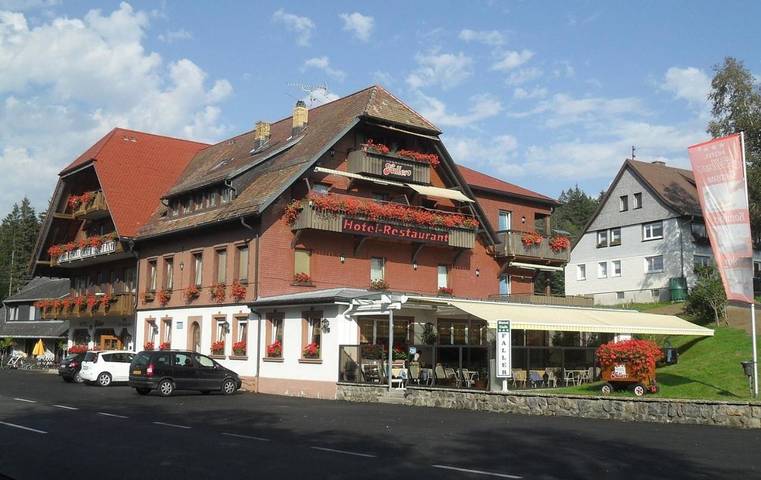 Hôtel pour 2 personnes, avec Terrasse et Vue à Breitnau