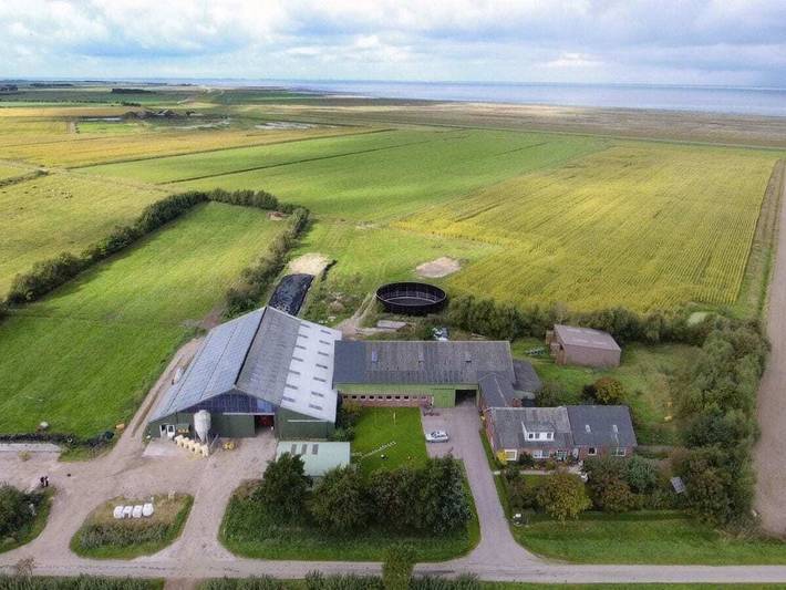 Ferienwohnung mit 2 Schlafzimmer in Nordfriesische Inseln (Schleswig-Holstein) (Schleswig-Holstein), Midlum