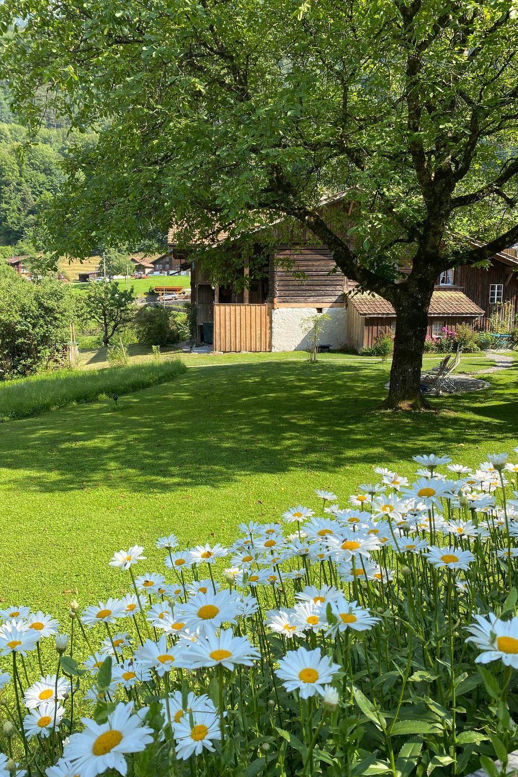 „Seesicht“ in Iseltwald, Berner Oberland