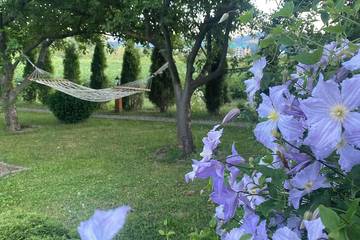 Bungalow für 2 Personen in Montenegro, Bild 3