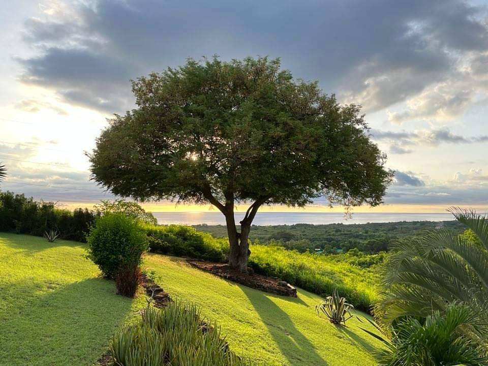 Lodge Rosewood in Vieux-Habitants, Guadeloupe
