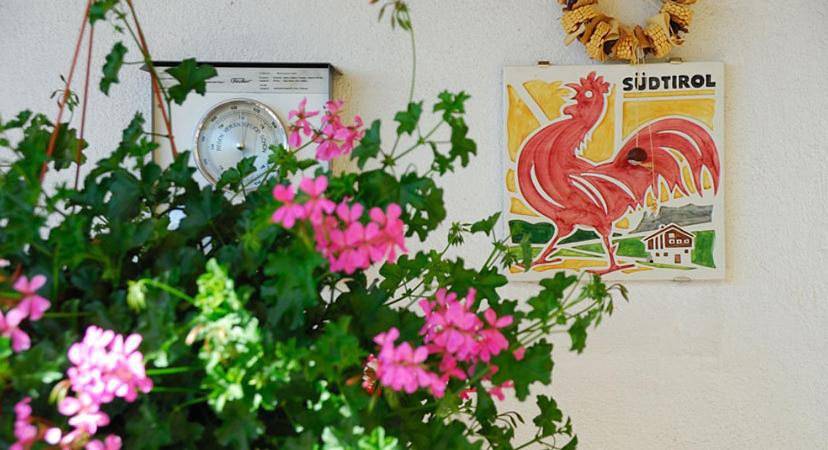 Gîte pour 4 personnes, avec vue et jardin à Bressanone - 4