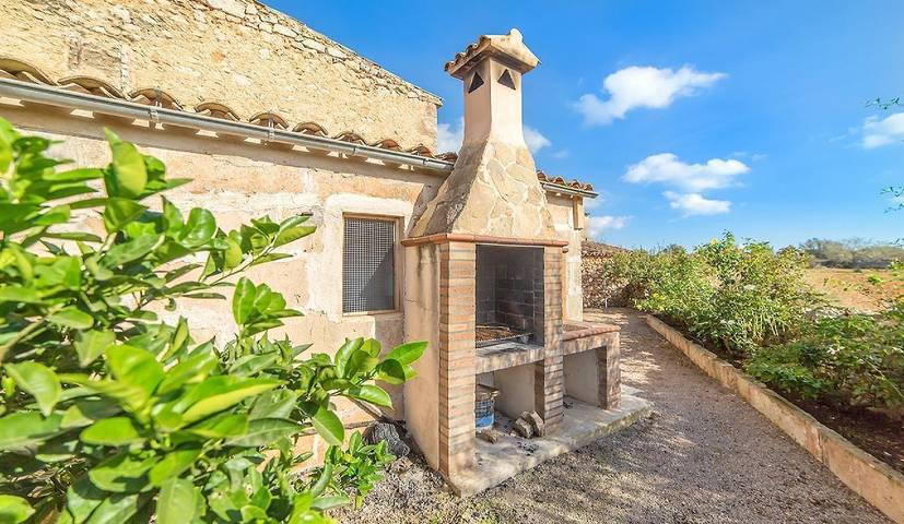 Large pool finca Olivera near Cas Concos Mallorca in Felanitx, South Majorca